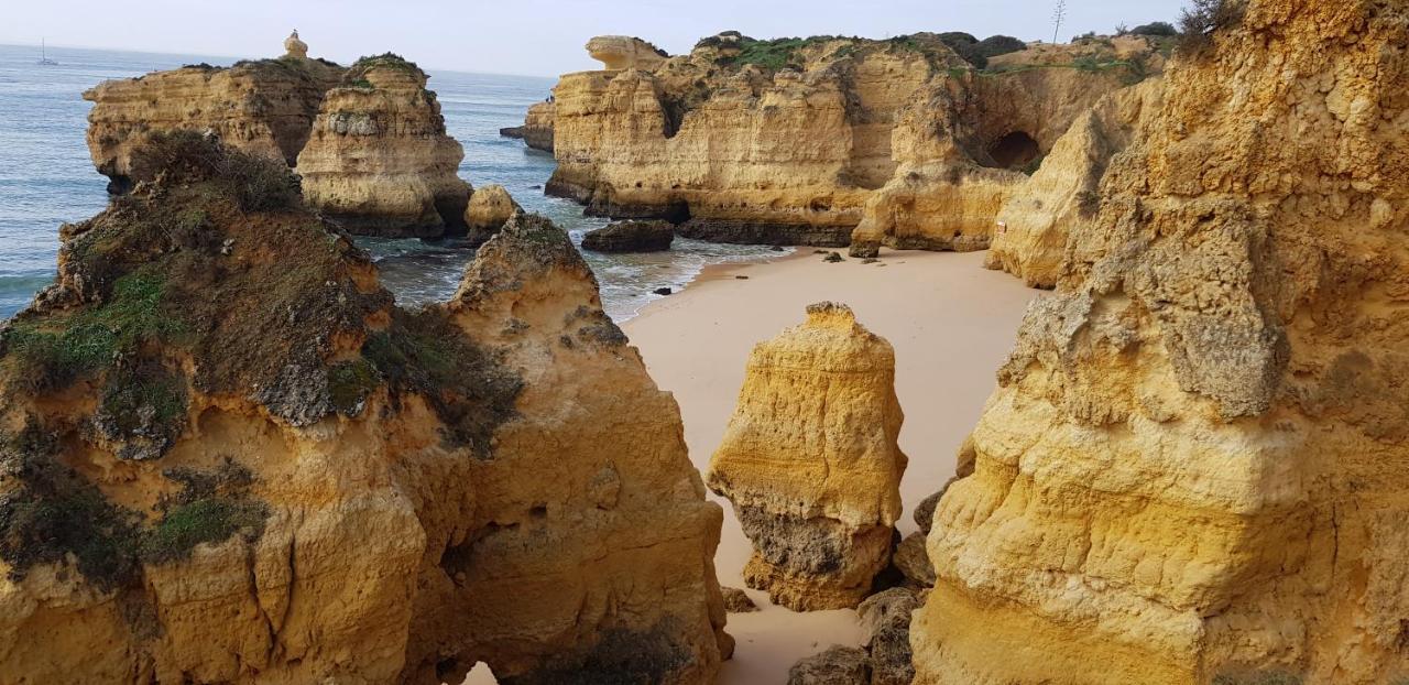 Hébergement de vacances In Sao Rafael Beach *